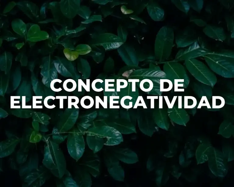 CONCEPTO DE ELECTRONEGATIVIDAD