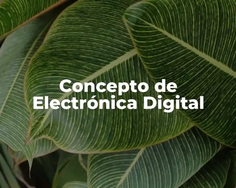 Concepto de Electrónica Digital