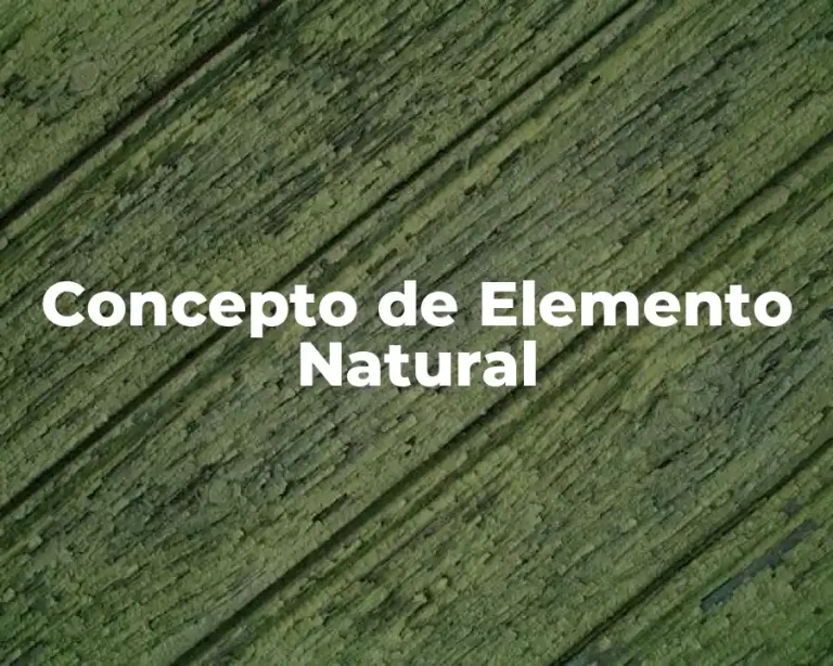 Concepto de Elemento Natural