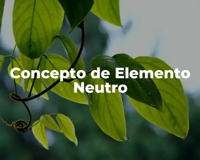 Concepto de Elemento Neutro