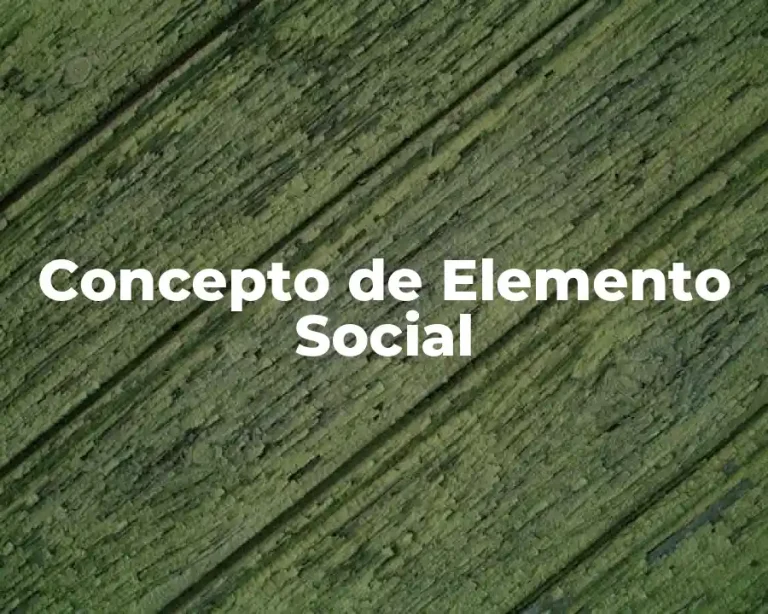Concepto de Elemento Social
