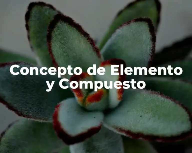 Concepto de Elemento y Compuesto