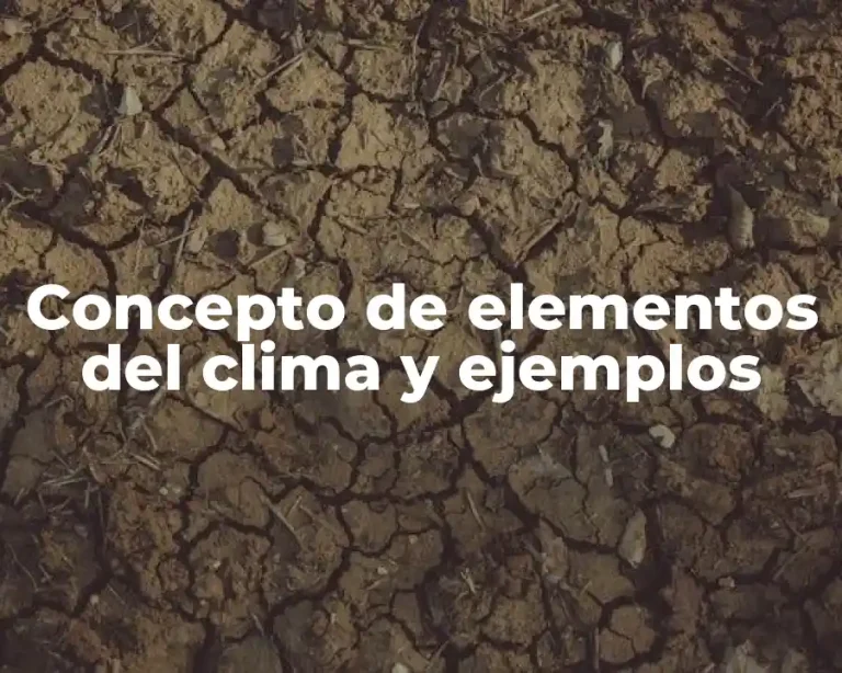 Concepto de elementos del clima y ejemplos