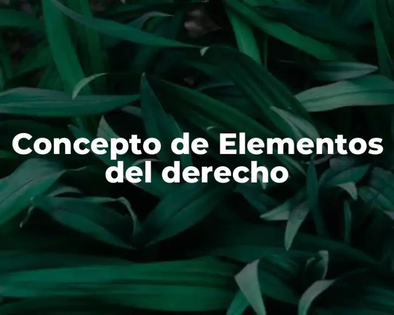 Concepto de Elementos del derecho