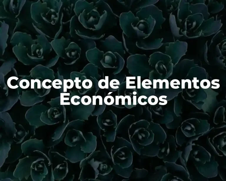 Concepto de Elementos Económicos