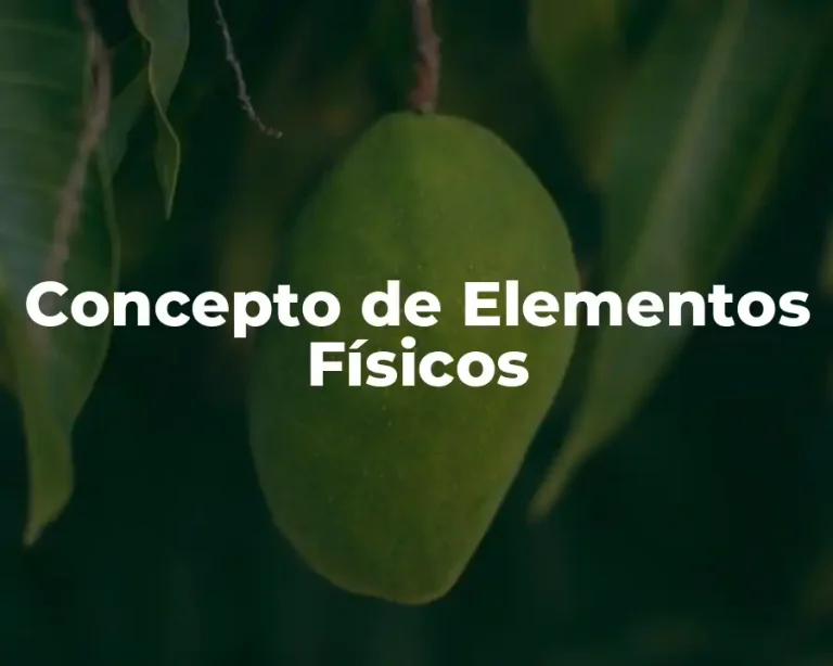 Concepto de Elementos Físicos