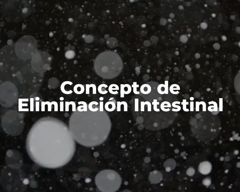 Concepto de Eliminación Intestinal