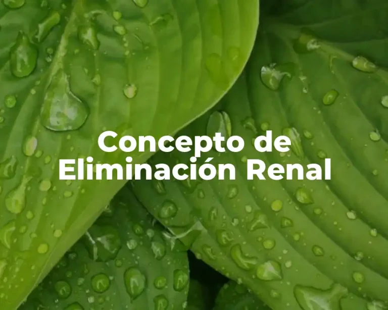 Concepto de Eliminación Renal