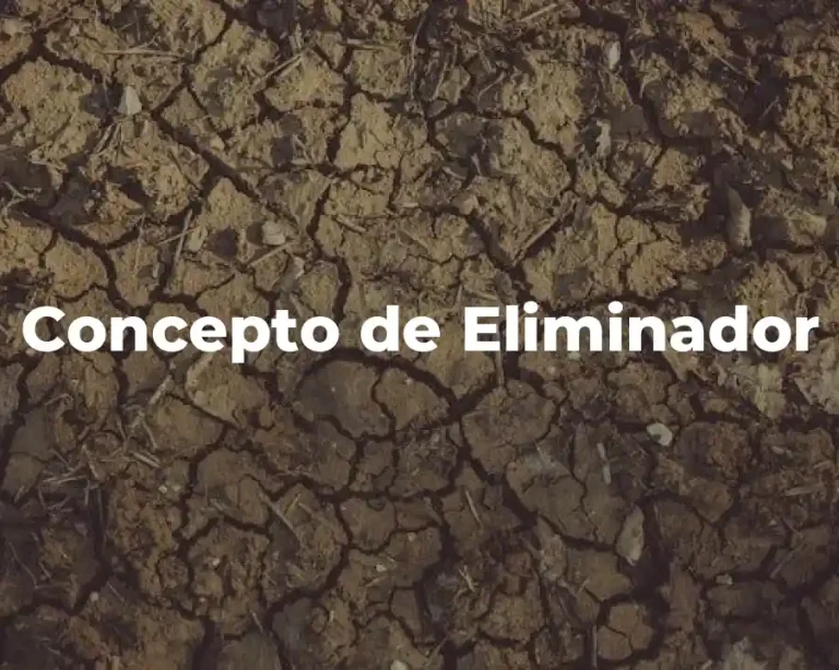 Concepto de Eliminador