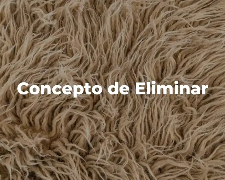 Concepto de Eliminar