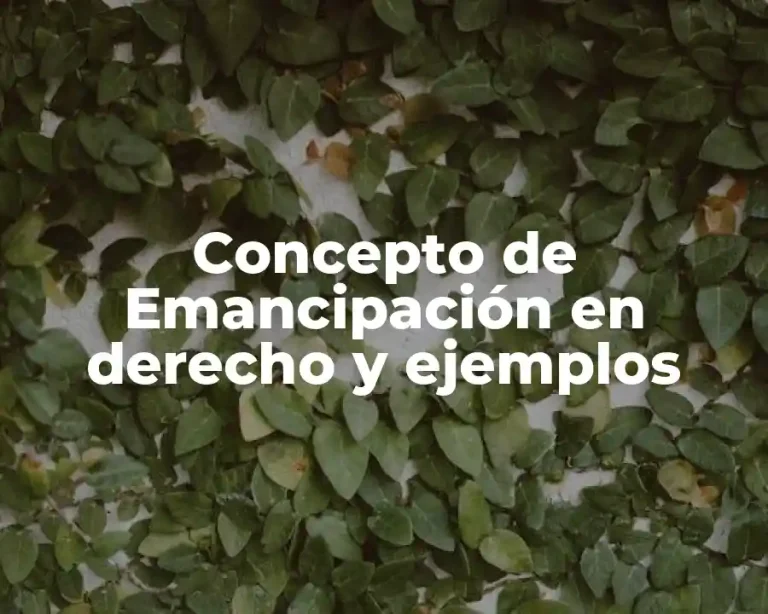 Concepto de Emancipación en derecho y ejemplos