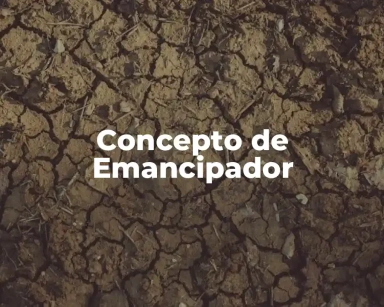 Concepto de Emancipador