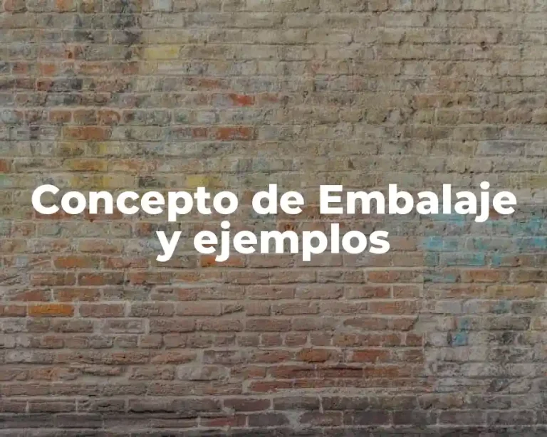 Concepto de Embalaje y ejemplos