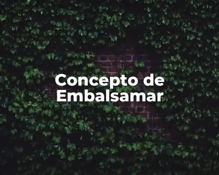 Concepto de Embalsamar