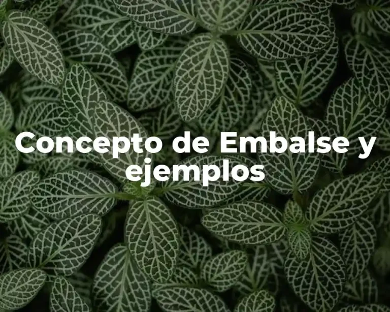 Concepto de Embalse y ejemplos