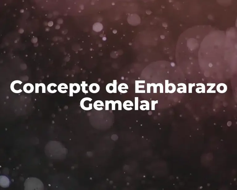 Concepto de Embarazo Gemelar