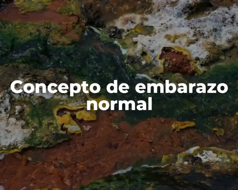 Concepto de embarazo normal