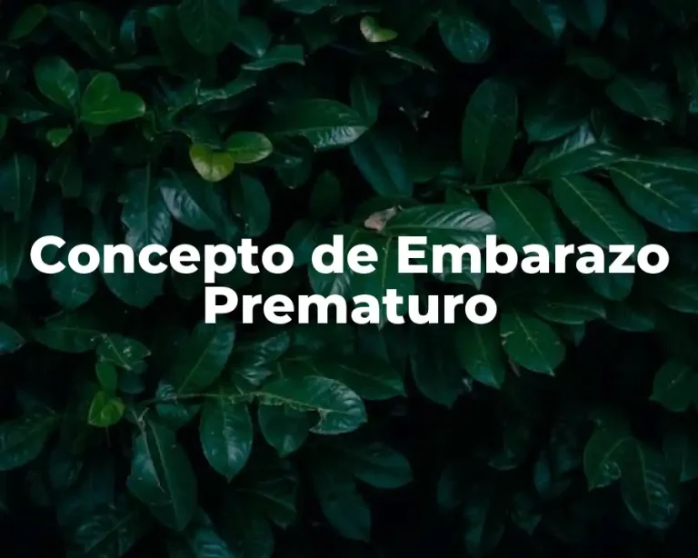 Concepto de Embarazo Prematuro