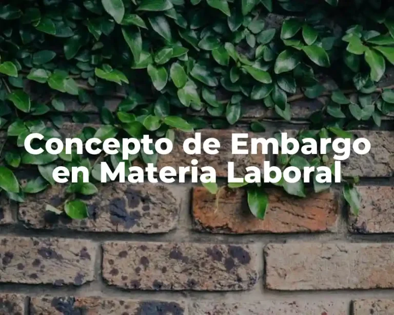 Concepto de Embargo en Materia Laboral