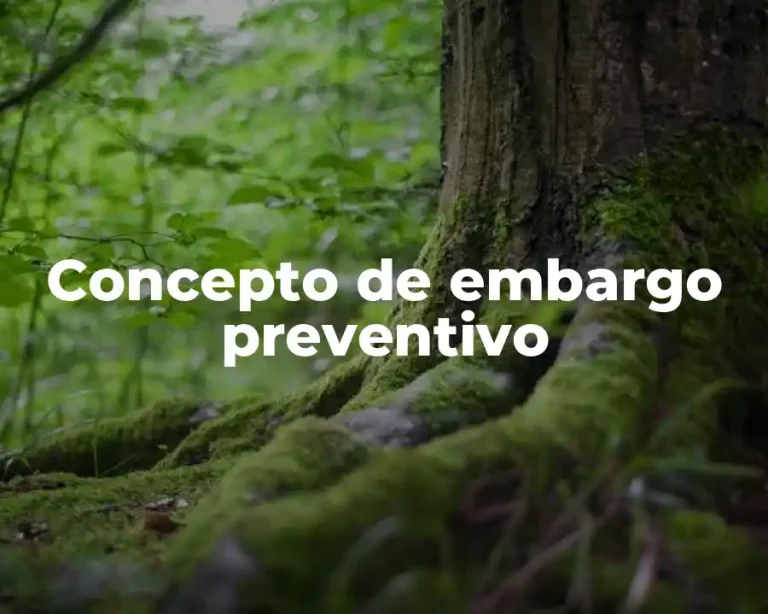 Concepto de embargo preventivo