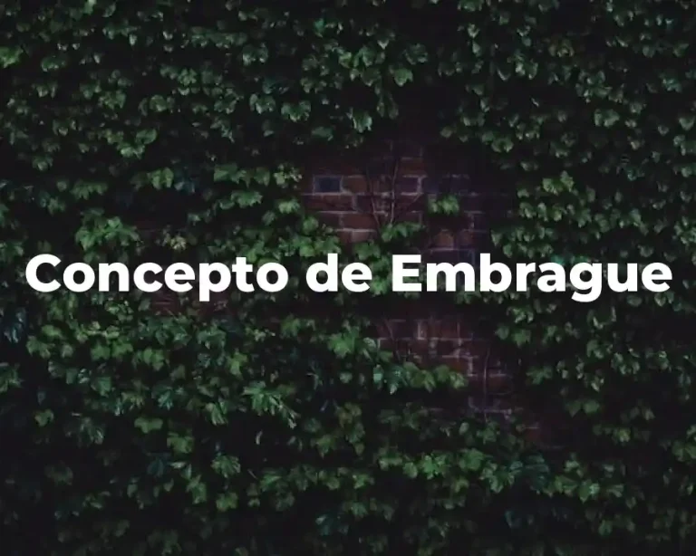 Concepto de Embrague