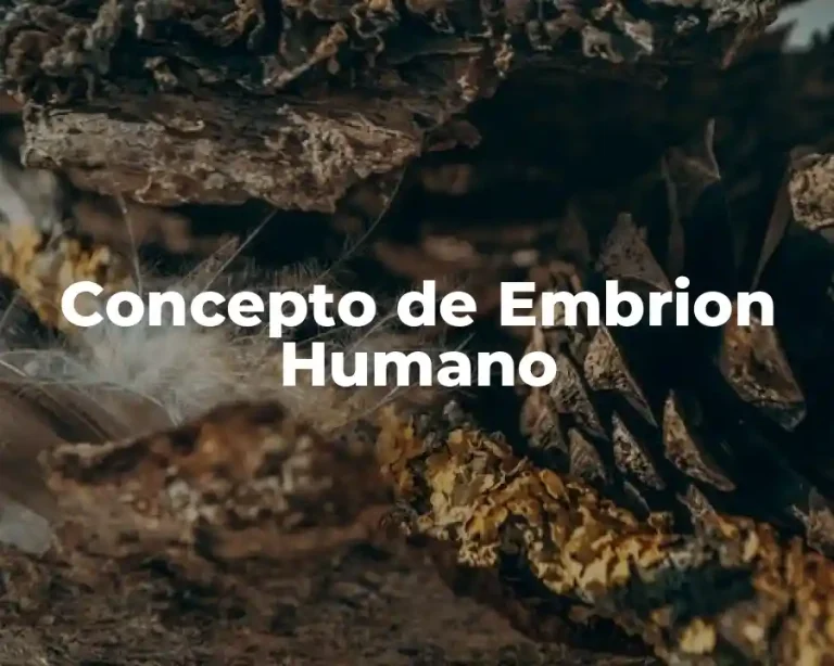 Concepto de Embrion Humano