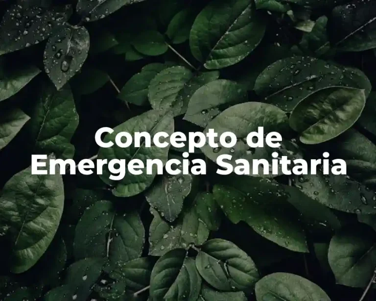 Concepto de Emergencia Sanitaria