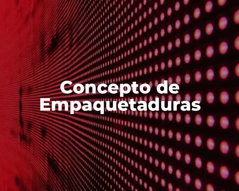 Concepto de Empaquetaduras