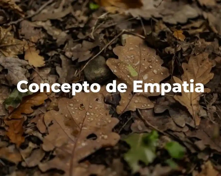 Concepto de Empatia