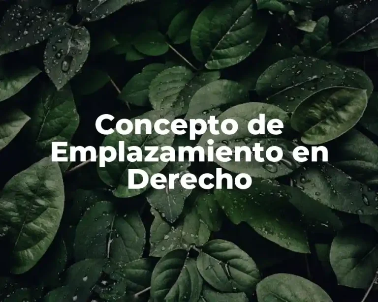Concepto de Emplazamiento en Derecho