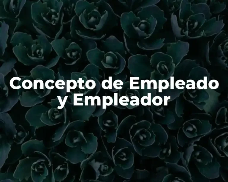 Concepto de Empleado y Empleador