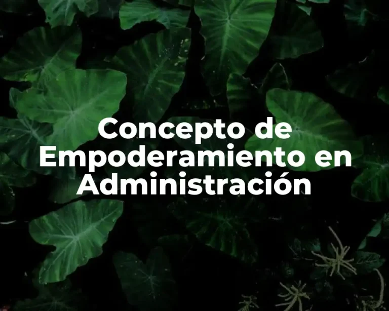 Concepto de Empoderamiento en Administración