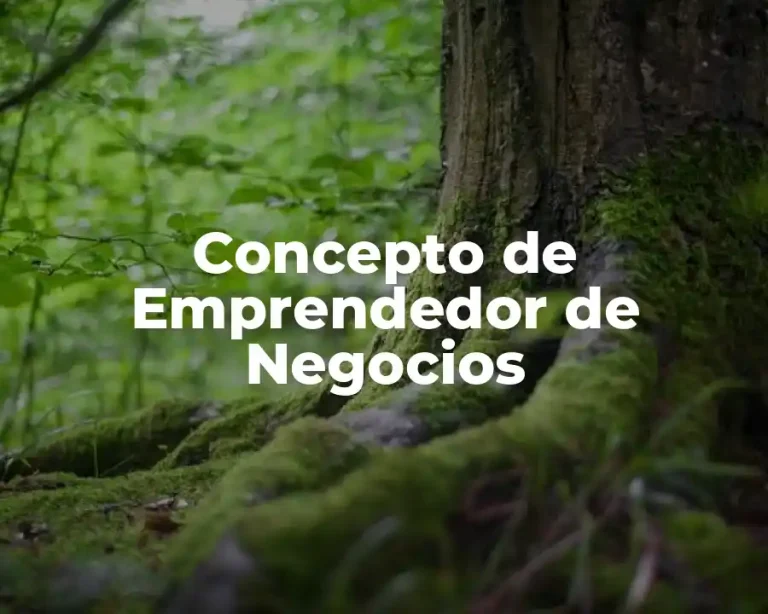 Concepto de Emprendedor de Negocios