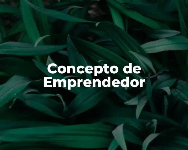 Concepto de Emprendedor