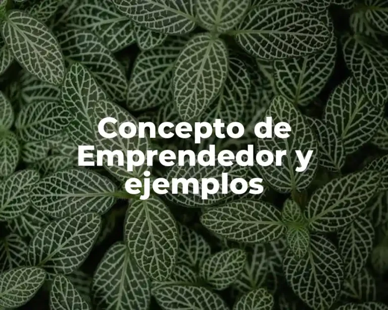 Concepto de Emprendedor y ejemplos