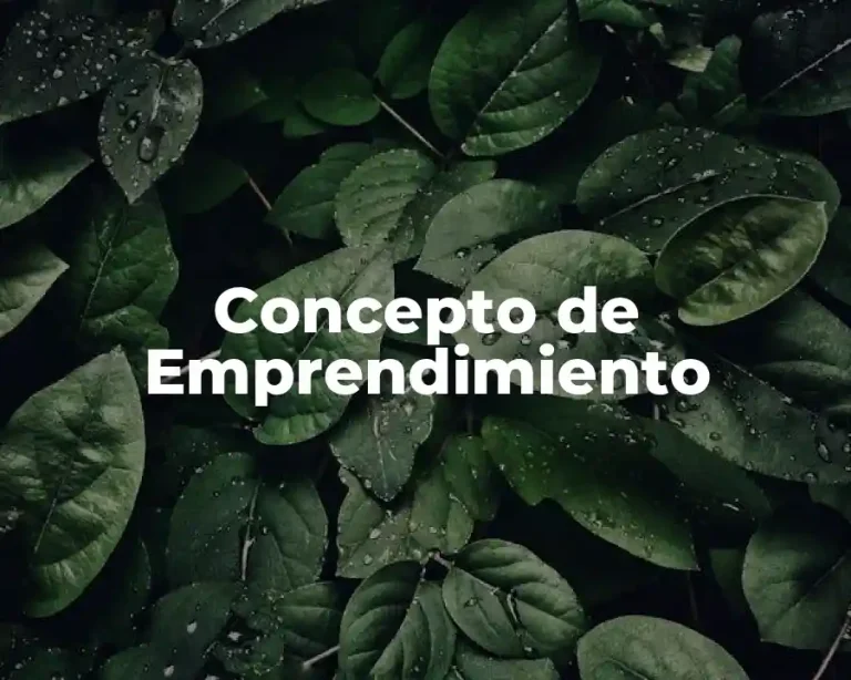 Concepto de Emprendimiento