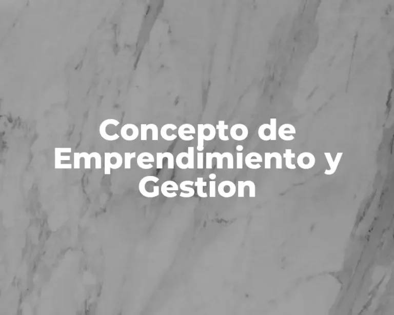 Concepto de Emprendimiento y Gestion