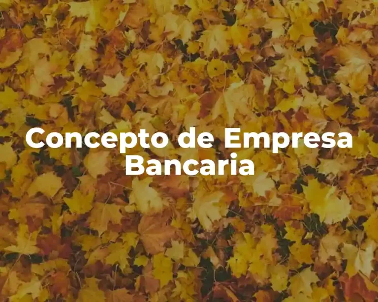 Concepto de Empresa Bancaria