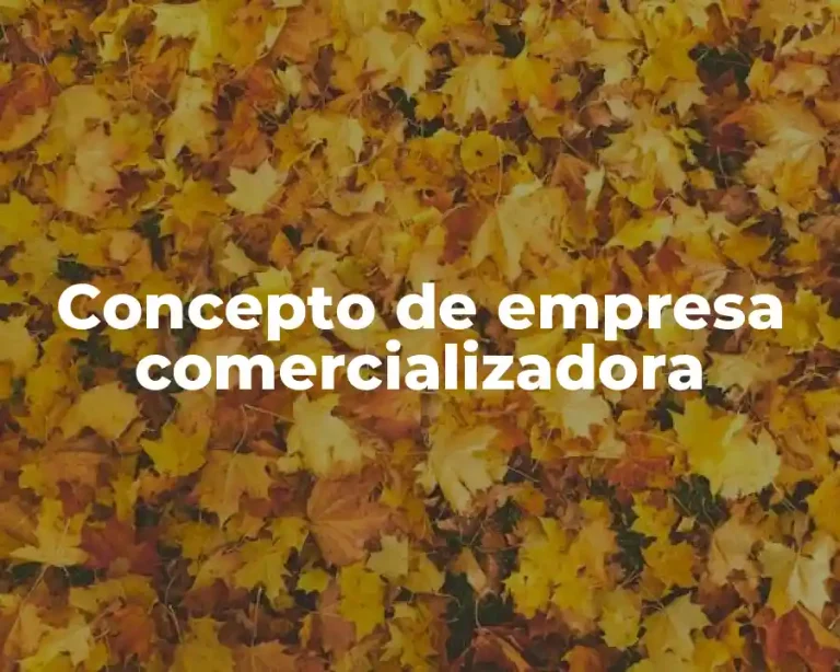 Concepto de empresa comercializadora