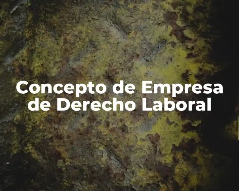 Concepto de Empresa de Derecho Laboral
