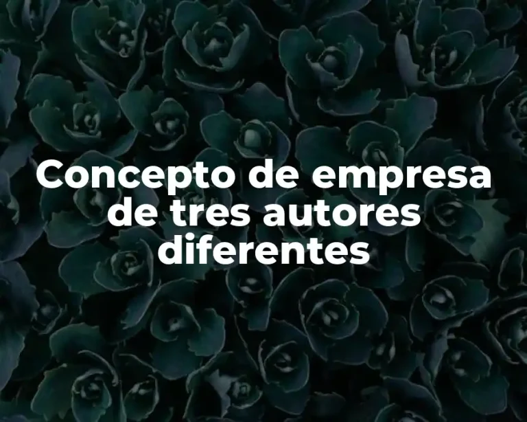 Concepto de empresa de tres autores diferentes