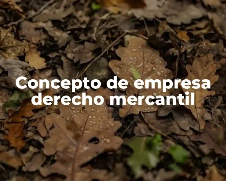 Concepto de empresa derecho mercantil
