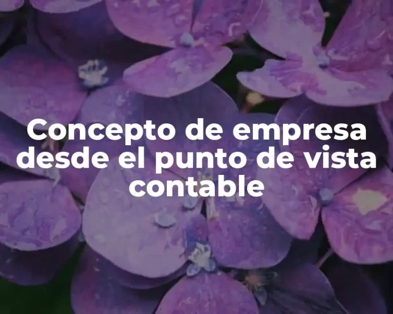 Concepto de empresa desde el punto de vista contable