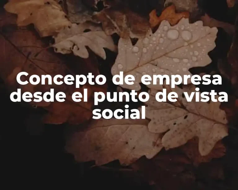 Concepto de empresa desde el punto de vista social