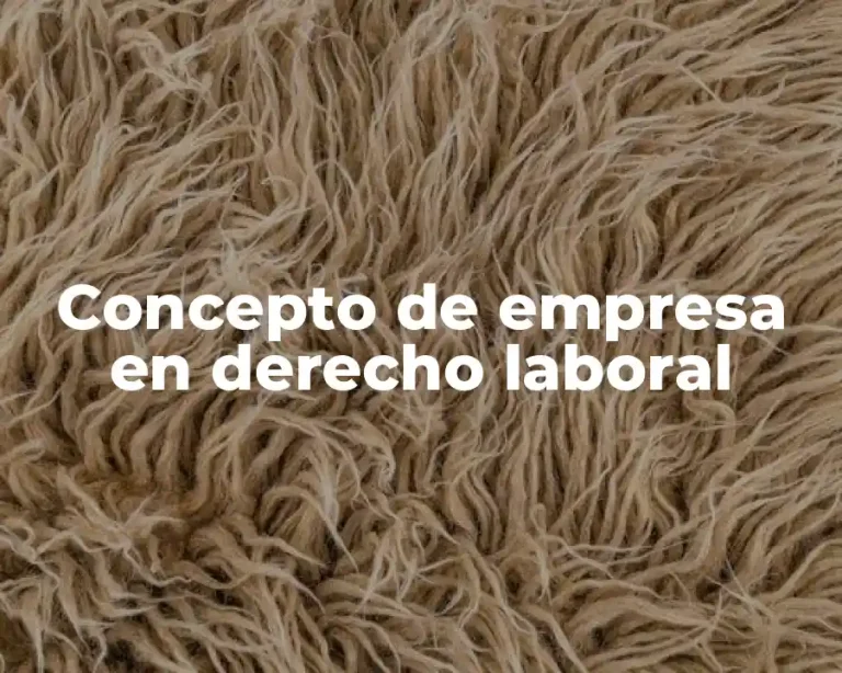 Concepto de empresa en derecho laboral