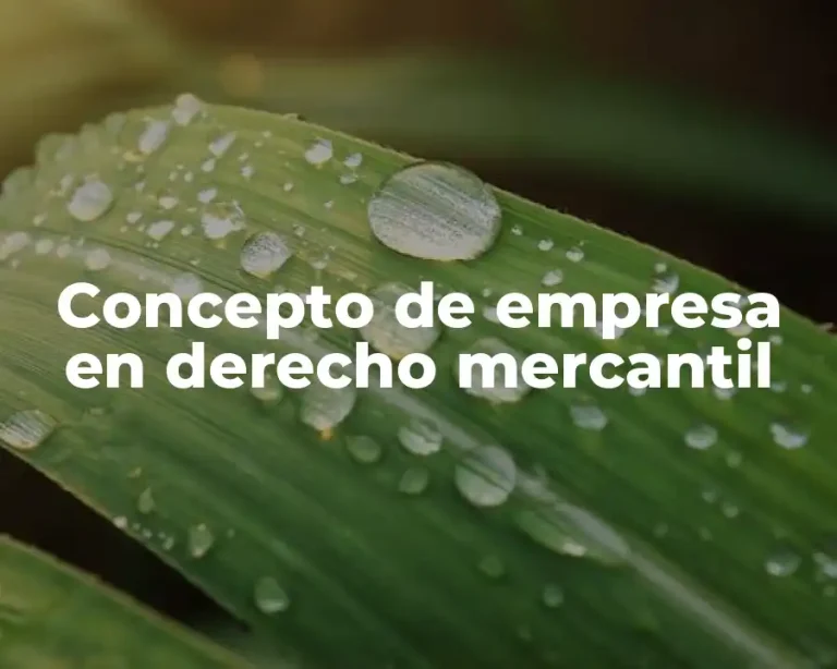 Concepto de empresa en derecho mercantil
