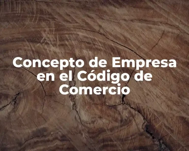 Concepto de Empresa en el Código de Comercio