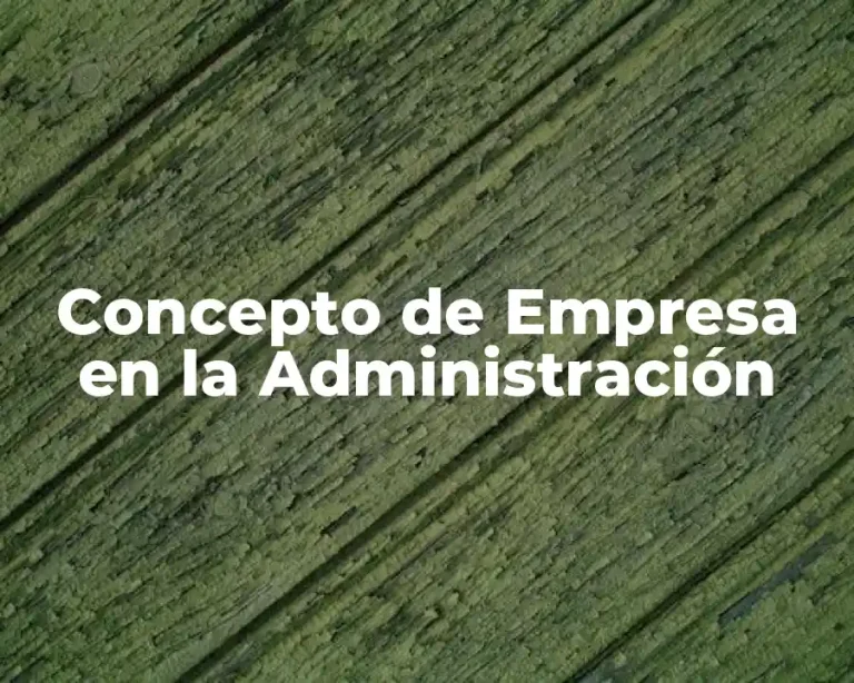 Concepto de Empresa en la Administración