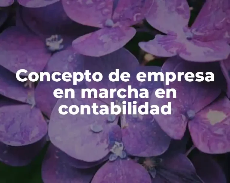 Concepto de empresa en marcha en contabilidad