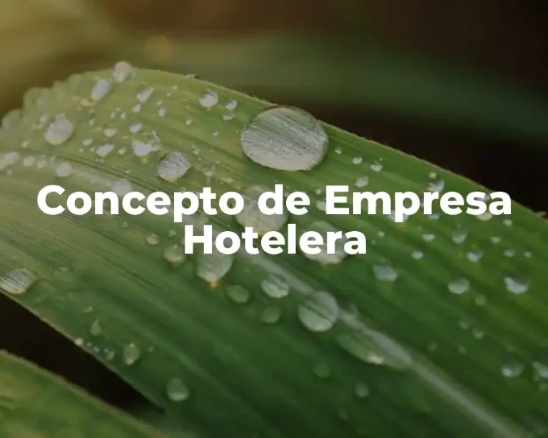 Concepto de Empresa Hotelera